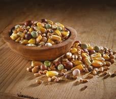 Oil/Fat Increases stamina and performance with a higher oil content Protein Carbohydrates An ideal all year round feed Wheat, Maple Peas, Whole Maize, Tic