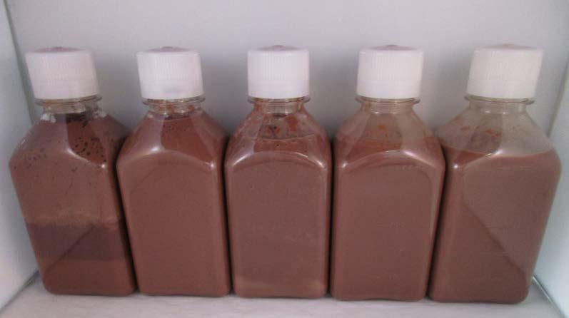 Protein Fortified Chocolate Milk Results Low Protein Series High Protein Series Shows the