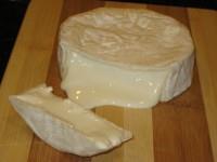 FLAVOUR Ammonia smell in young cheese.