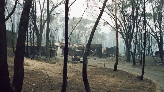 The Animal House the day after the Firestorm swept