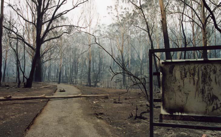 The day after the fires the Koala Enclosure had been completely incinerated