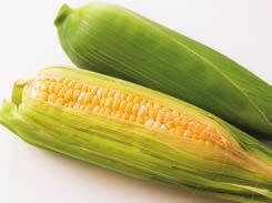 Sweetcorn Available Summer
