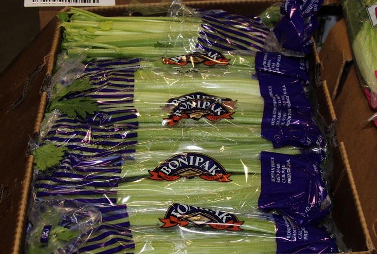 CV CELERY Celery is more plentiful with lower pricing on all sizing and packs.