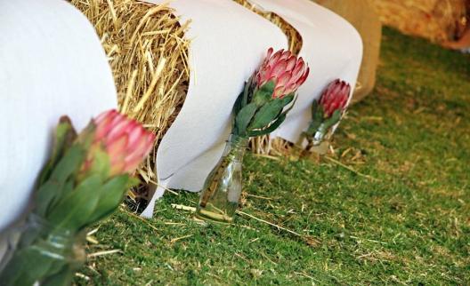 ) - Loose Strawbales @ R20 per bale (extra seating around the venue) -