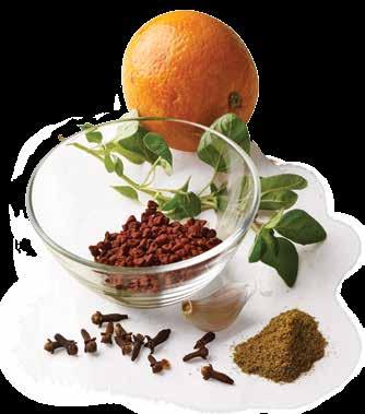 flavours to explore recados spice pastes popular in the