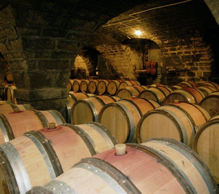 THE CELLAR THE 2016 GROWING SEASON Compared to the Domaine s intricately analytical approach to viticulture, the winemaking process is rather simple. Fermentation is carried out by natural yeasts.