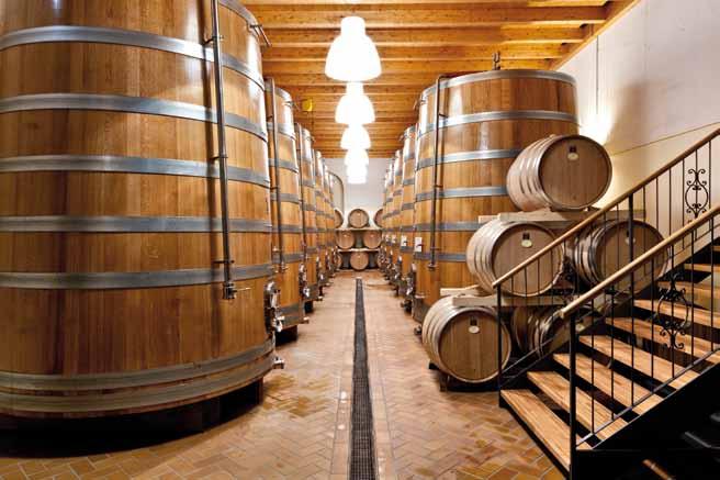 Size 5000 m 2 Production Vinification of Bardolino Wines Vinification of IGT Wines Ageing Bottling Quality Control and Analysis Laboratory Administration Central Management Administration Department