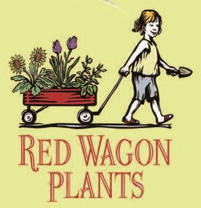The annual benefit sale is a partnership between Red Wagon Plants and the Vermont Community Garden Network (VCGN) to raise funds for VCGN s educational programs.