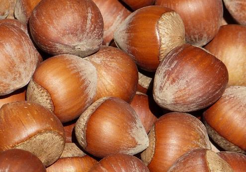 Export & Import Export and import relates to the following main activities and aspects: Export of hazelnuts in shells has become rare: Today, more than 90% of all exports from Turkey are hazelnut