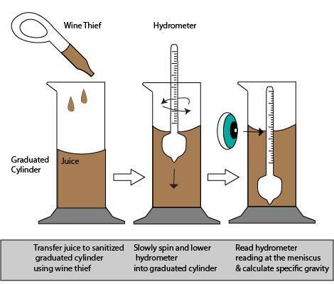 Figure 1: Using the hydrometer Calculating the percent alcohol by volume (ABV) To determine the percent alcohol by volume (ABV), one must measure the specific gravity before fermentation (SG) and the