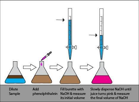 Figure 2: Steps of acid titration Adjusting the cider s acidity Adjust the acidity if the titratable acidity and ph readings are outside of the desirable range.
