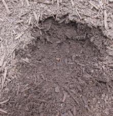 surface and within the soil profile. Most of this information is available on the labels of product containers as well as from chemical registration authorities and suppliers.