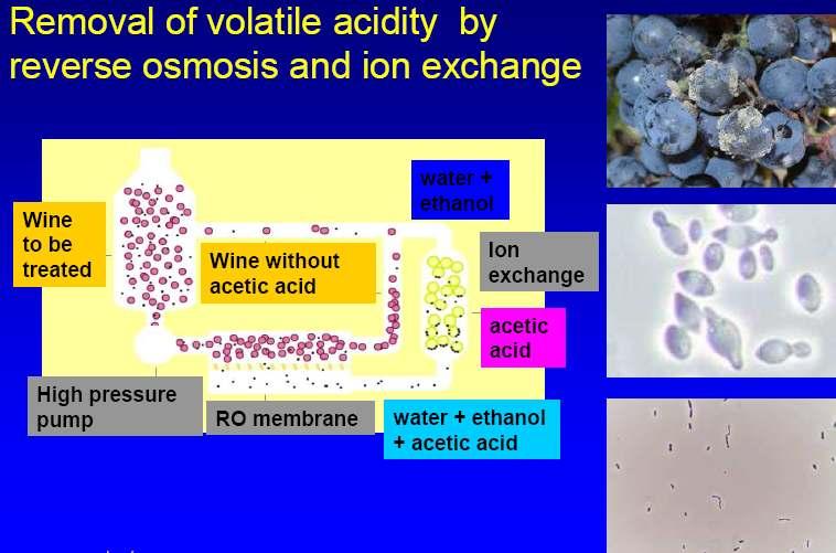 Removal of Volatile Acidity by Reverse Osmosis and Ion Exchange Resin Important Applicability in face of Adverse Climatic Conditions during Maturity, when Acid Rot establishes on the