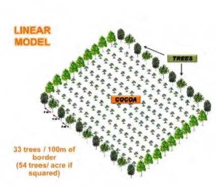 trees/ha MODEL 3 Degraded lands Planting