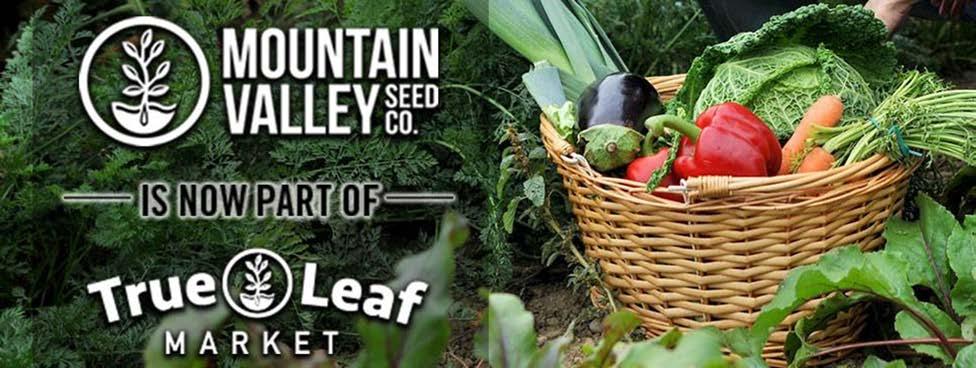 Cole Crops and Greens Since 1974, True Leaf Market alongside Mountain Valley Seed, has been providing a multitude of high quality seed to residential and professional growers alike, which include