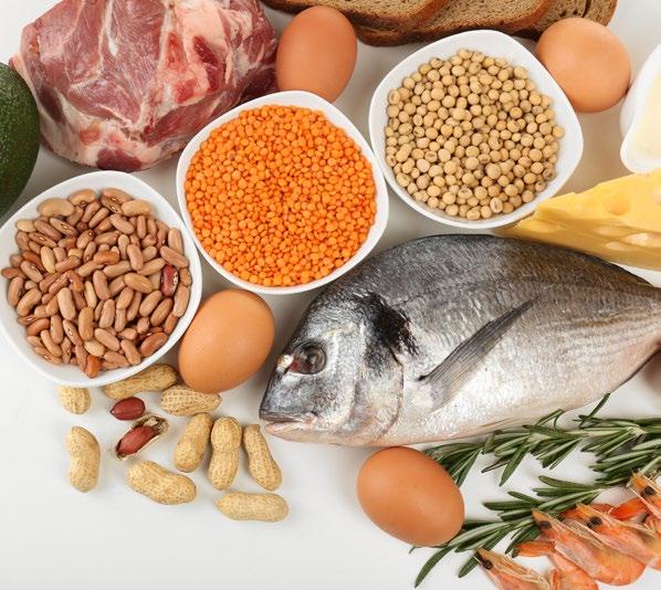 02 HOW MUCH PROTEIN DO YOU REQUIRE ON A DAILY BASIS?