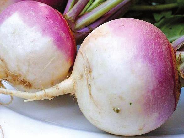 TURNIP/RUTABAGA Heavy for their size, no soft spots or cracks. Turnip greens can be removed and used like kale or mustard greens. Small and medium sized turnips are sweeter.