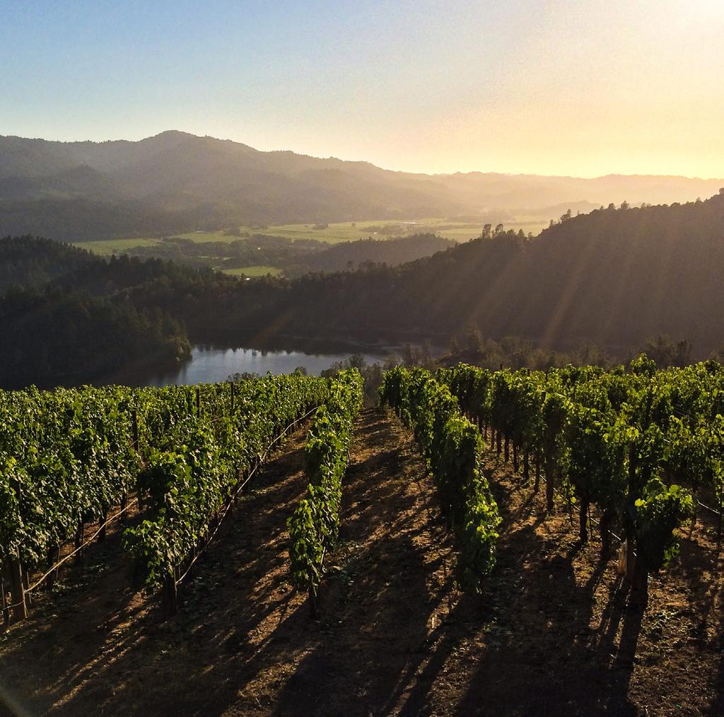 NAPA GREEN CERTIFIED - WHAT IT MEANS This program is about quality - this program is about creating a quality wine, creating a quality environment