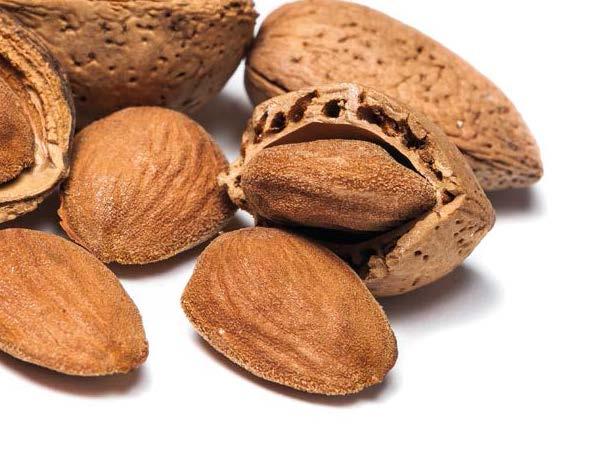 ALMONDS PRODUCTION WORLD ALMOND PRODUCTION Kernel Basis (Metric Tons) Almond production keeps increasing year on year. It has reached over 1.