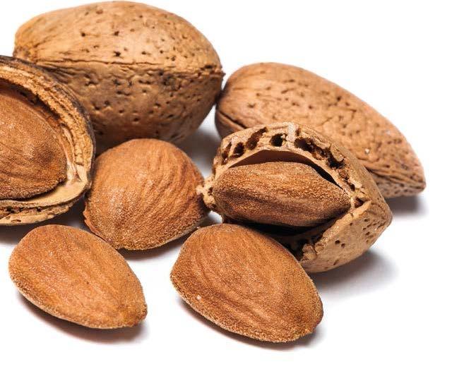 ALMONDS ALMOND IMPORTS / Shelled + In-shell (KB)* / (Metric Tons) COUNTRY 2006 2007 2008 2009 2010 2011 2012 2013 2014 2015 2016 Growth 2006-2016 Spain 57,356 58,217 69,244 75,869 63,025 77,358