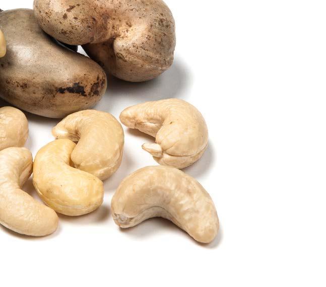 CASHEWS PRODUCTION WORLD CASHEW PRODUCTION Kernel Basis (Metric Tons) Cashew production reached near 790,000 metric tons (kernel basis) in the 2017/2018 season, raised by 32% compared to the previous