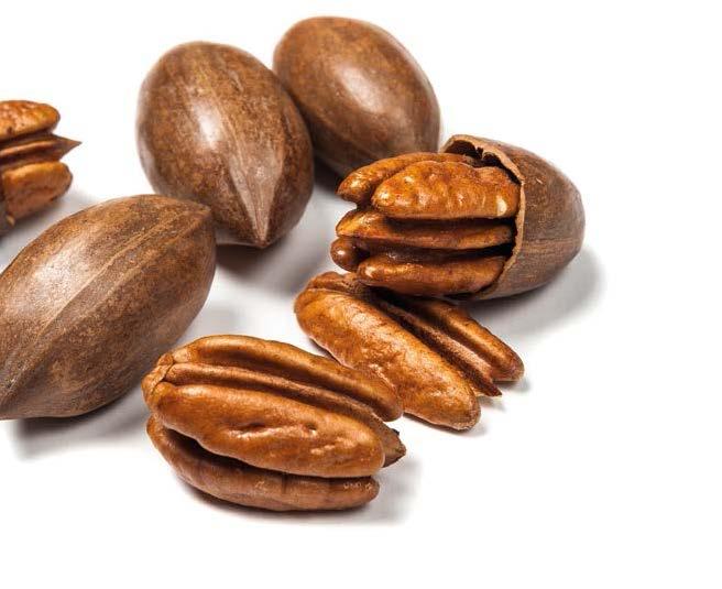 PECANS PECAN IMPORTS / Shelled (Metric Tons) COUNTRY 2006 2007 2008 2009 2010 2011 2012 2013 2014 2015 2016 Growth 2006-2016 USA* 20,680 18,792 26,489 22,634 29,089 20,441 22,636 18,448 22,972 35,252