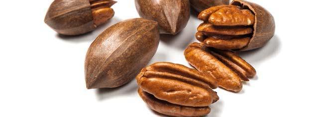 COUNTRY ESTIMATED WORLD PECAN CONSUMPTION (Kernel Basis) 2012 2013 2014 2015 2016 USA 67,826 0.195 0.780 45,109 0.159 0.636 48,531 0.218 0.872 65,139 0.202 0.810 64,988 0.202 0.807 Mexico 16,837 0.