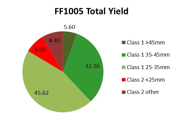 FF1005, FF1004 and CIR903 produced significantly higher total and class 1 yields than Elsanta and all other varieties.