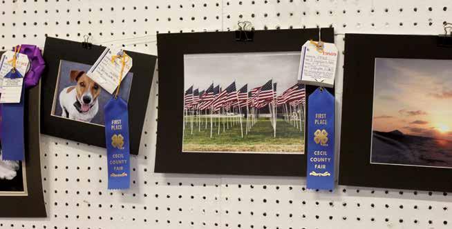 20 CECIL COUNTY FAIR 2017 Division 1: INDOOR EXHIBITS Department 1: Food Preservation section 1 canned fruit section 2 canned vegetables & meat section 3 pickles & relishes section 4 jellies, jams, &
