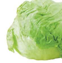 Lettuce 97 Head ~ Fresh Express Salad Blends, Half Cut
