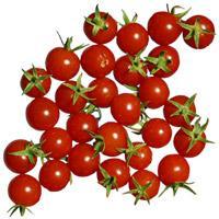 CHERRY TOMATOES 500 g tin (code AP75) Cherry tomatoes tomatoes obtained from selected of high quality. Cherry tomatoes, tomato juice, salt. Acidity: in accordance with good industrial technology.