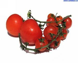 POLPA DI POMODORO CHOPPED TOMATOES The packaged product is touched and stored in covered warehouses maintaining its organoleptic and chemical, physical for at least 36 months in the case of tin cans