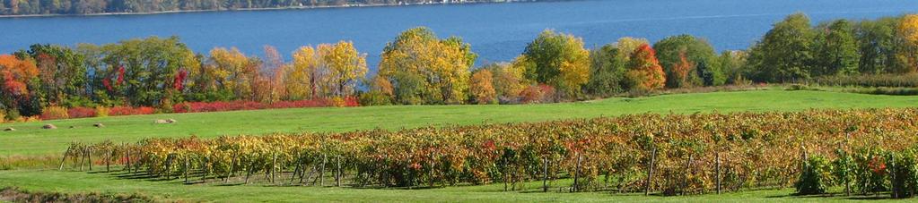 FingeR Lakes Vineyard Notes Newsletter #1 January 23, 2009 IN THIS ISSUE 59th Annual Finger Lakes Grape Growers Conference and Trade Show 1 Program Overview 2 Session Descriptions 2 Registration Form