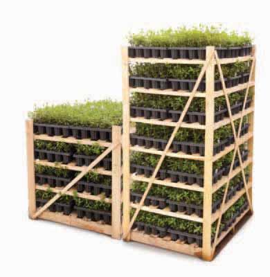 GROWER PROGRAM For over a century, people have relied on Bailey to provide you the highest quality plants and