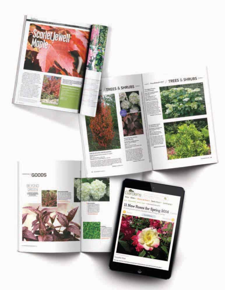 Minnesota Gardener Magazine, September