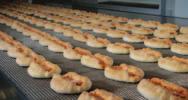 of bakery tunnel ovens for