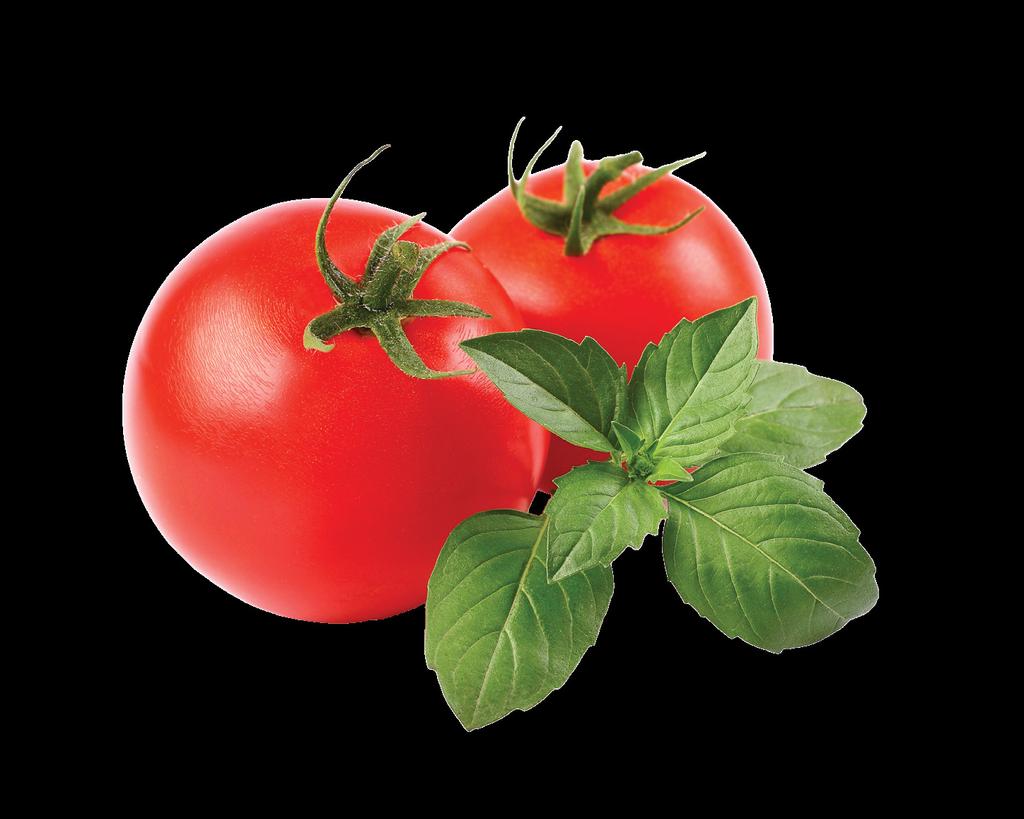 PRESERVING THE HARVEST Especially if you grow determinate tomato plants, you may find you are harvesting more fruit than you can consume at one time.