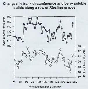 4.1.3 Quality Utilising data from a previous experiment, Johnstone (1998) investigated the vine-to-vine and within vineyard variability of grape Brixº and grape colour.