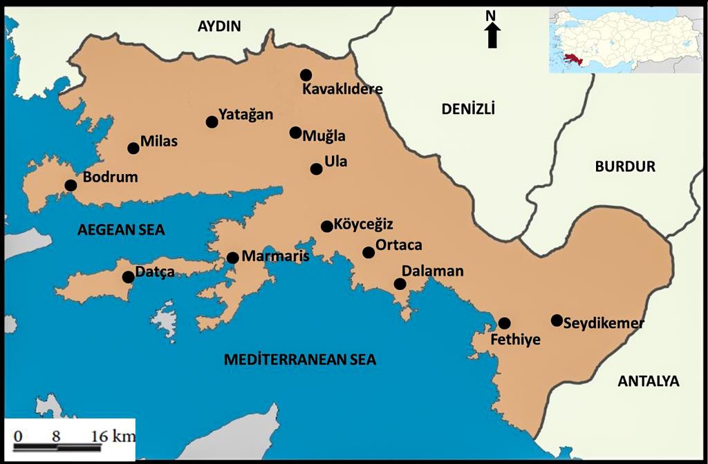 2 Güngör & al FIG. 1. Map of the study area Materials & methods The specimens of this study were collected from various localities within Muğla province between 2001 and 2011.