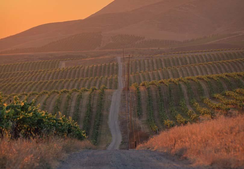 SUPER LOT #6 CALIFORNIA & OREGON: JACKSON FAMILY WINES First-class food and wine adventure in California and Oregon Spanning California and Oregon, four couples will have the chance to explore the