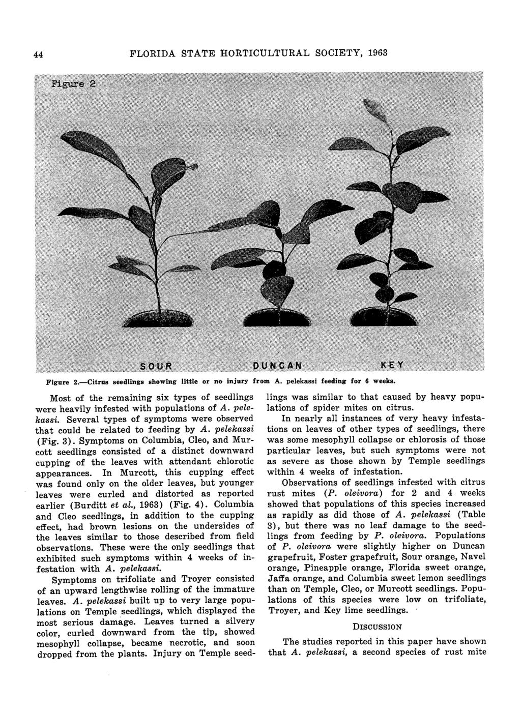 44 FLORIDA STATE HORTICULTURAL SOCIETY, 1963 Figure BQUft ' DUJNCAN KEY Figure 2. Citrus seedlings showing little or no injury from A. pelekassi feeding for 6 weeks.