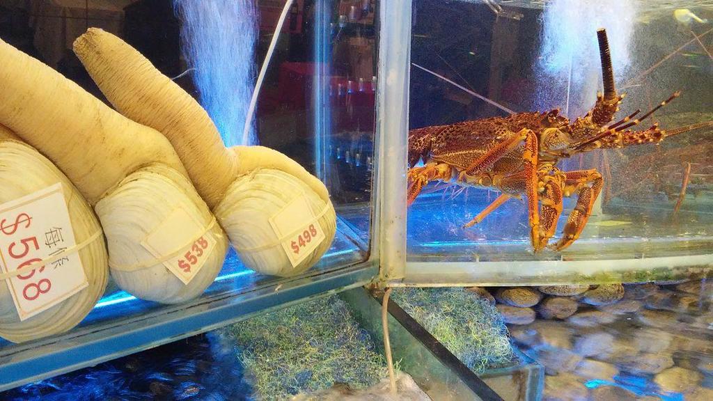 Geoducks are not only seafood popular in China as