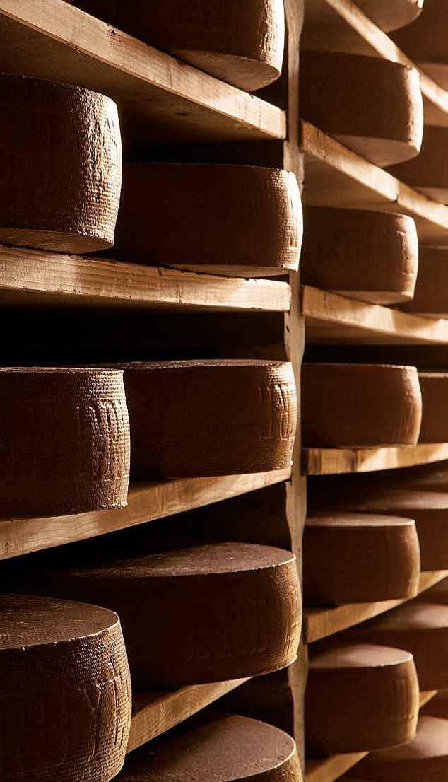 Affinage. Ingredients: patience and experience. Our company has been ripening Gruyère AOP for more than a century, rooted in the heart of our region s green hills, at 800 m / 2 600 ft.