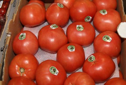 Pricing and Quality will be promotable out of Florida and new crop Mexico. Round Tomatoes have also come down as there is now more production.