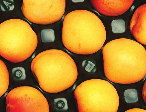 Sliced apricots can also be used in salads to add sweetness. Ripe apricots will be slightly soft and can be eaten at any time.