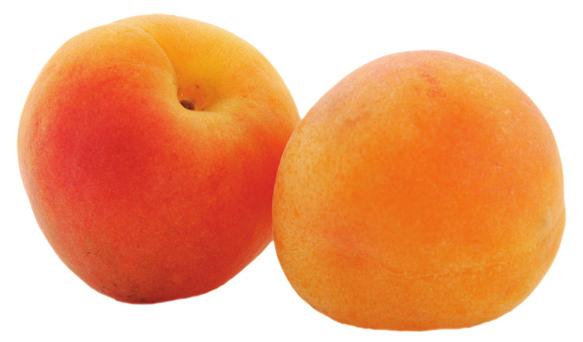 APRICOT Choose plump, firm apricots with uniform yellow/orange color and no green or mushy spots. Apricots will ripen at room temperature, or in a paper bag for quicker ripening.