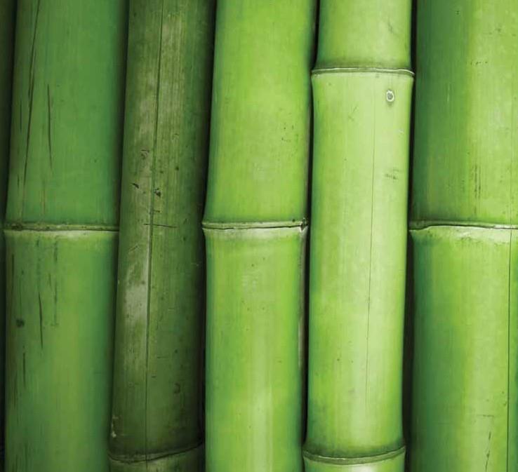 Bamboo Fiber Bamboo Fiber