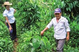 of an efficient internal control system among the smallholders producer groups.
