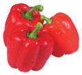 Extra Large LeRouge Red Peppers