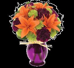 BF347-11KMP Fall Daisy Bushel Basket BF348-11KM Fresh Trick & Treat Bouquet SUGGESTED RETAIL PRICE: $29.99 SUGGESTED RETAIL PRICE: $34.